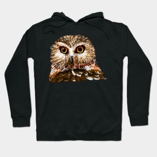 Saw Whet Owl Hoodie